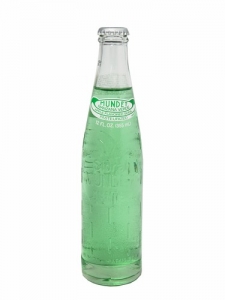 FRESH 12oz Sidral Mundet Green Apple soda - Soda Emporium