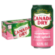 12 pack Canada Dry Strawberry